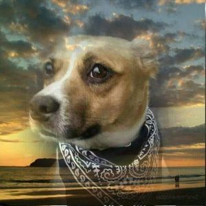 Meet your Posher, Becky